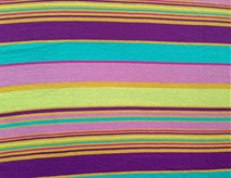 Big Y/D Stripe -purple