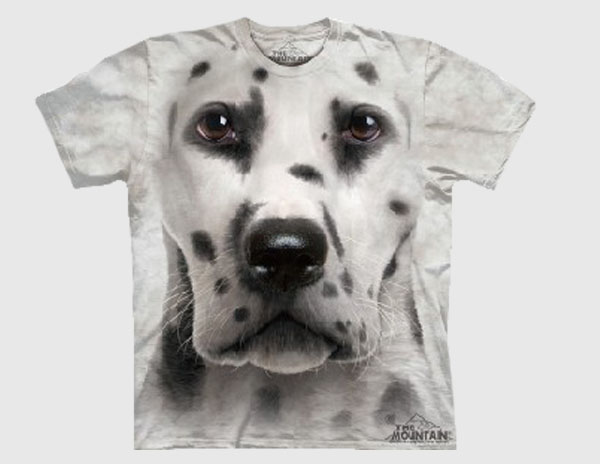 T-shirt 100% cotton